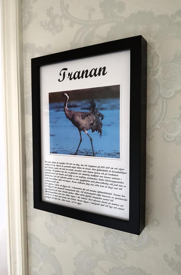 Takern Vandrarhem Svanshals Zewnętrze zdjęcie