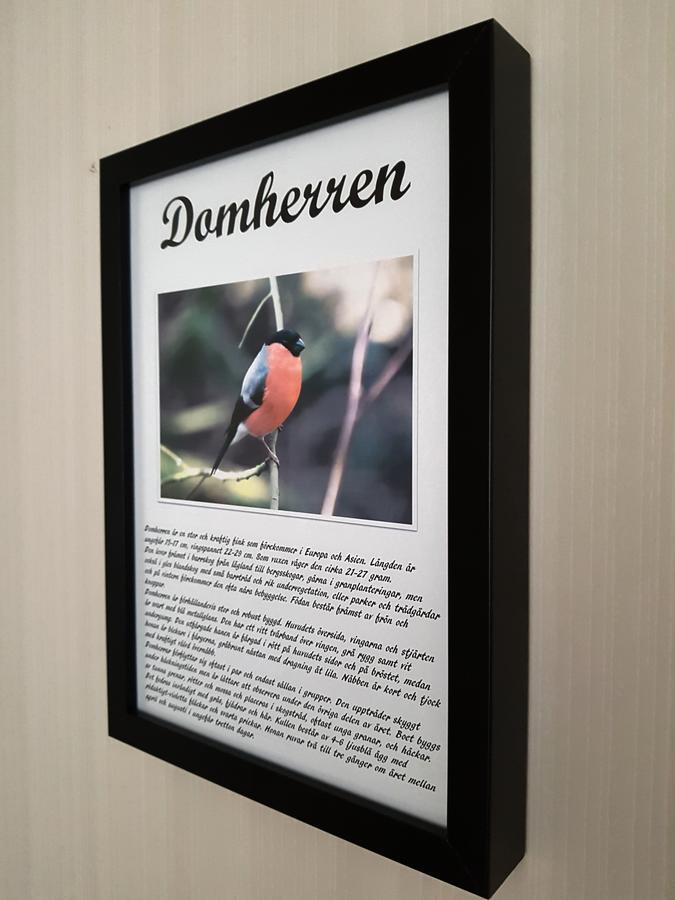 Takern Vandrarhem Svanshals Zewnętrze zdjęcie
