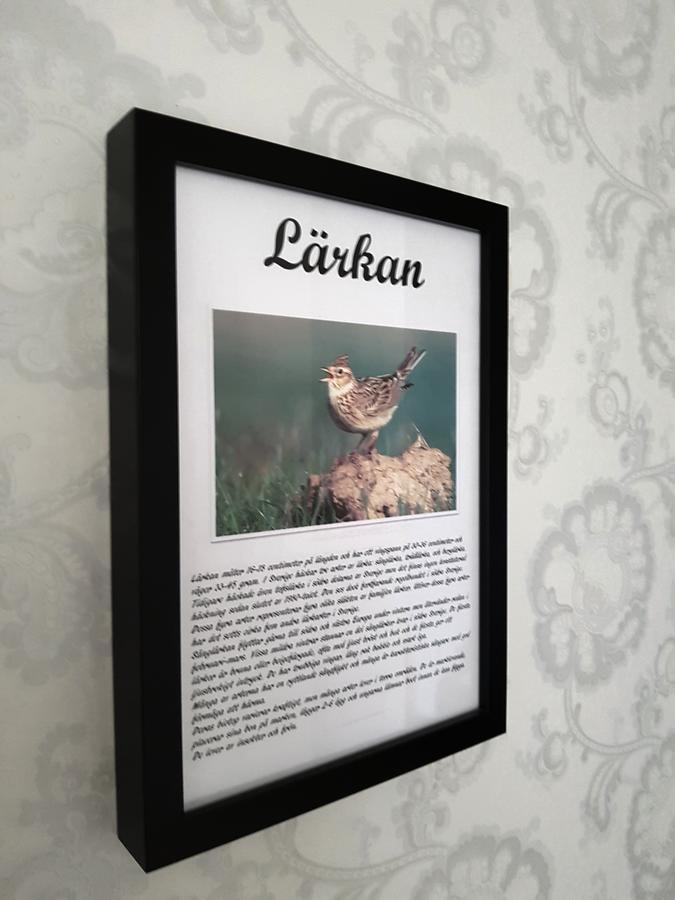 Takern Vandrarhem Svanshals Zewnętrze zdjęcie