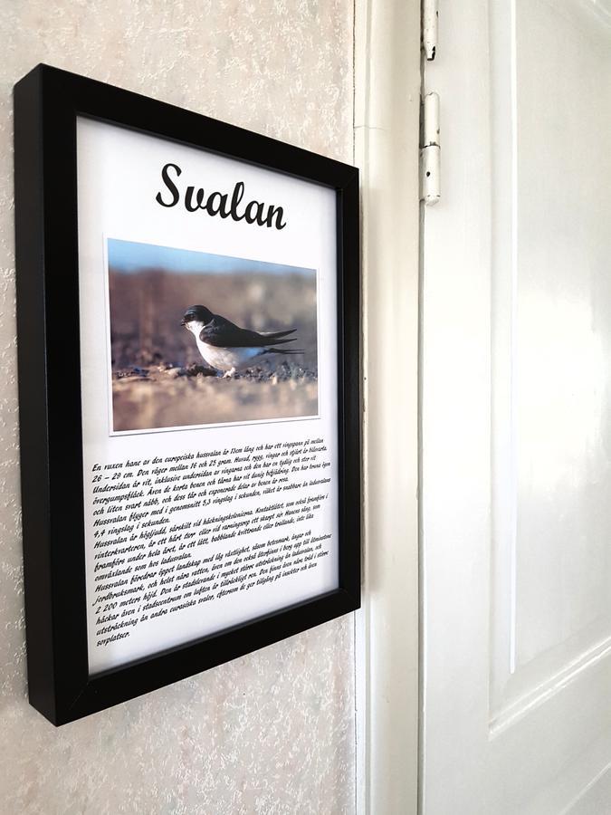 Takern Vandrarhem Svanshals Zewnętrze zdjęcie